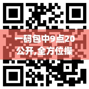 一碼包中9點(diǎn)20公開,全方位操作計(jì)劃_便攜版QGD13.60