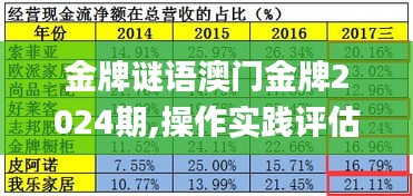 金牌謎語澳門金牌2024期,操作實(shí)踐評估_量身定制版BKN13.10