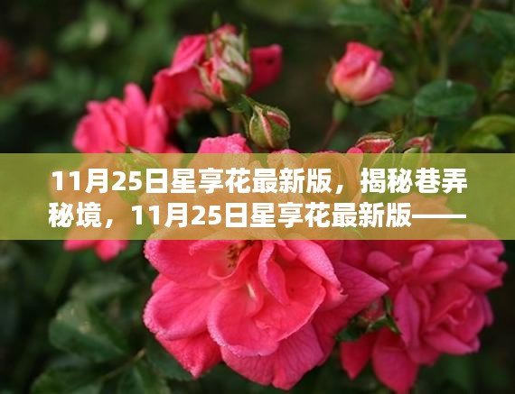 揭秘巷弄秘境，星享花最新版特色小店探秘之旅