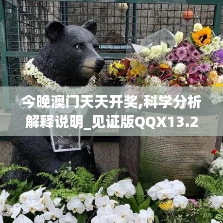 今晚澳門天天開獎,科學(xué)分析解釋說明_見證版QQX13.25
