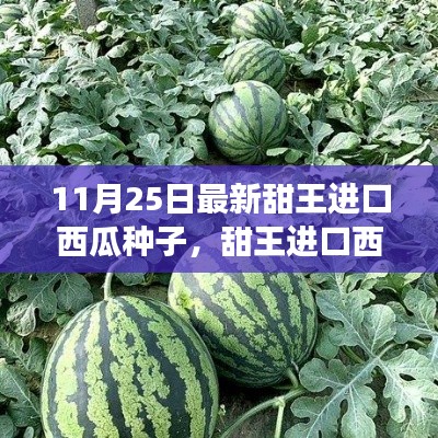 最新甜王進(jìn)口西瓜種子，感受成長(zhǎng)之甜與變化之力