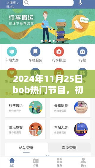 初學(xué)者與進(jìn)階用戶觀看指南，Bob熱門節(jié)目詳細(xì)步驟及精彩內(nèi)容回顧（2024年11月25日）