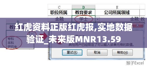 紅虎資料正版紅虎報,實地數(shù)據(jù)驗證_未來版MNR13.59