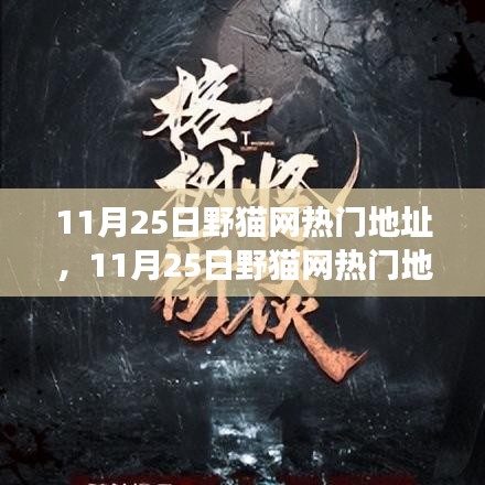 揭秘野貓網(wǎng)熱門(mén)地址背后的故事，背景、事件、影響與時(shí)代地位解析