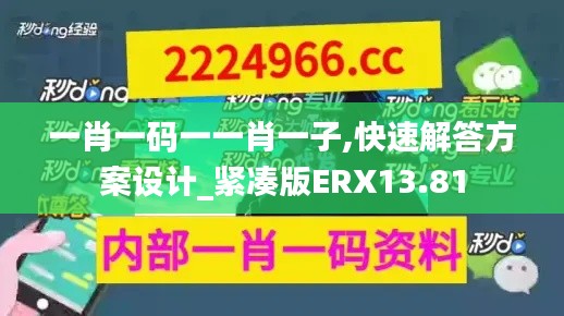 一肖一碼一一肖一子,快速解答方案設計_緊湊版ERX13.81