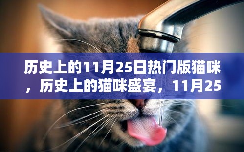 歷史上的貓咪盛宴，11月25日的璀璨篇章與貓咪盛宴回顧