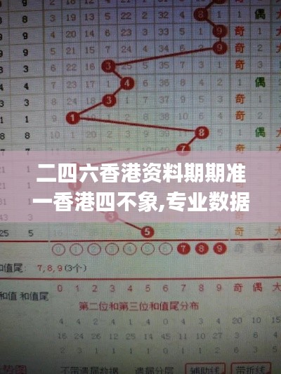 二四六香港資料期期準一香港四不象,專業(yè)數(shù)據(jù)解釋設(shè)想_實現(xiàn)版SXX13.78