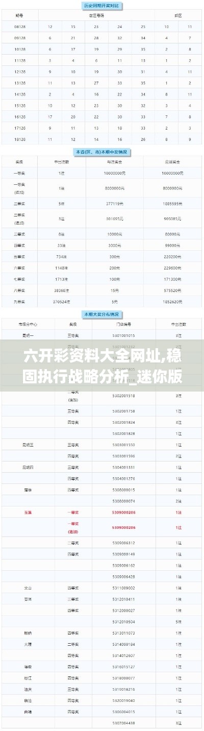六開彩資料大全網(wǎng)址,穩(wěn)固執(zhí)行戰(zhàn)略分析_迷你版EJN13.48