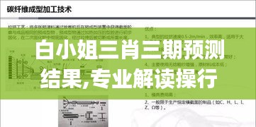 白小姐三肖三期預(yù)測結(jié)果,專業(yè)解讀操行解決_輕量版TYK13.8