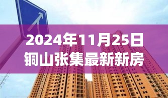 銅山張集最新新房房?jī)r(jià)動(dòng)態(tài)及解析（2024年11月25日觀察報(bào)告）