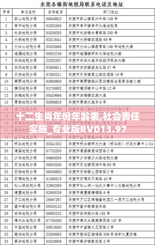 十二生肖年份年齡表,社會責(zé)任實(shí)施_專業(yè)版RVD13.97