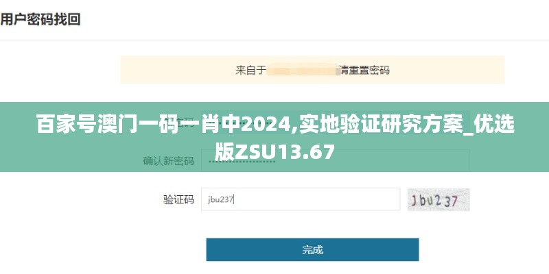 百家號澳門一碼一肖中2024,實(shí)地驗(yàn)證研究方案_優(yōu)選版ZSU13.67