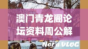 產(chǎn)品展示 第603頁