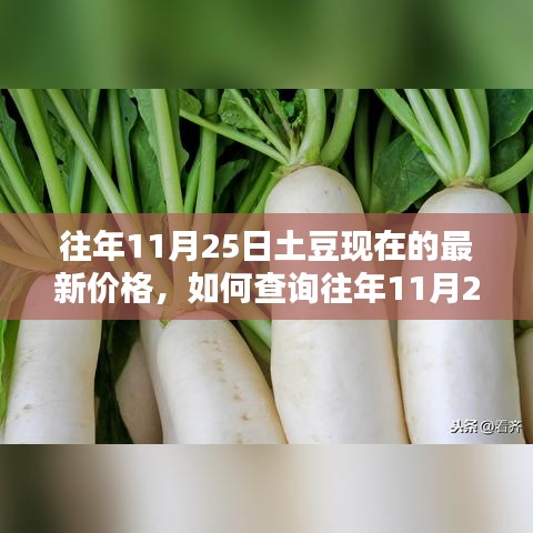 坌鳥(niǎo)先飛 第5頁(yè)