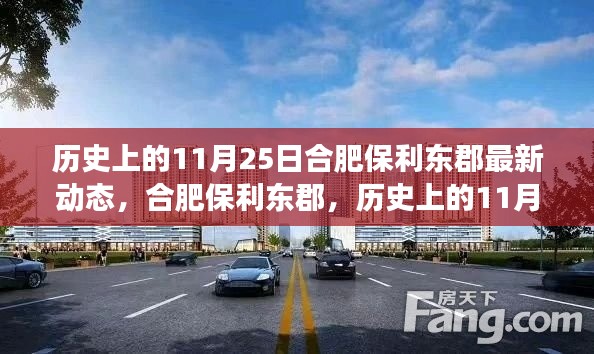 合肥保利東郡，歷史上的11月25日最新動態(tài)解讀