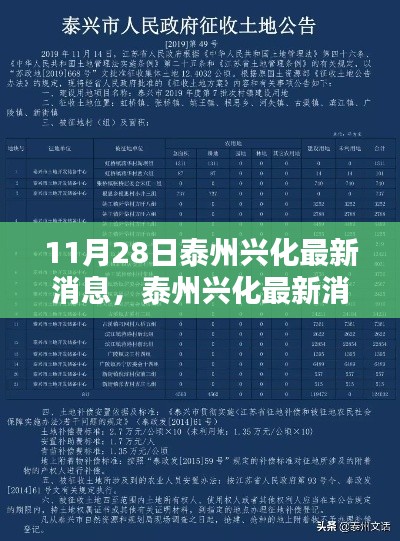 泰州興化最新消息匯總，聚焦要點(diǎn)解析（11月28日更新版）