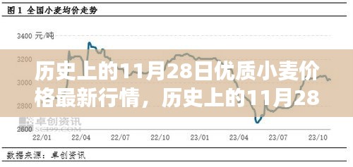 歷史上的11月28日優(yōu)質(zhì)小麥價格最新行情深度解析