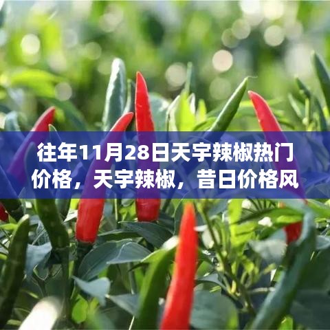 天宇辣椒熱門價(jià)格揭秘，昔日價(jià)格風(fēng)云回顧與影響分析