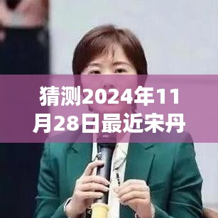 宋丹丹新劇預(yù)測指南，揭秘2024年11月28日最新電視劇猜測與期待！