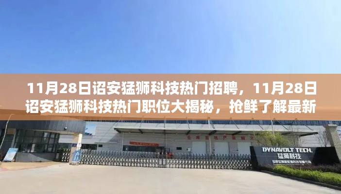 詔安猛獅科技最新招聘風向揭秘，熱門職位搶鮮看