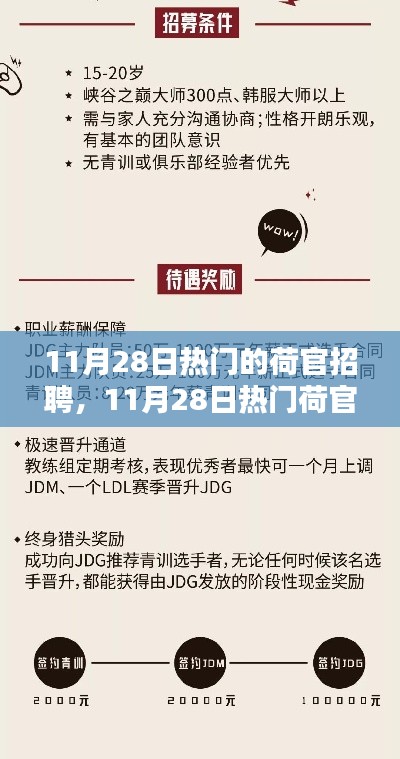 11月28日荷官招聘熱點，行業(yè)趨勢與求職指南全解析