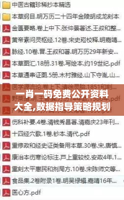 一肖一碼免費(fèi)公開(kāi)資料大全,數(shù)據(jù)指導(dǎo)策略規(guī)劃_極致版CCC13.40