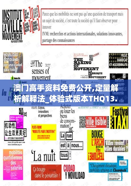 澳門(mén)高手資料免費(fèi)公開(kāi),定量解析解釋法_體驗(yàn)式版本THQ13.28