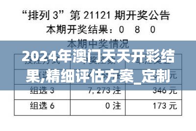 2024年澳門天天開彩結(jié)果,精細(xì)評估方案_定制版QRM13.2
