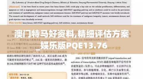 澳門特馬好資料,精細(xì)評(píng)估方案_娛樂版PQE13.76