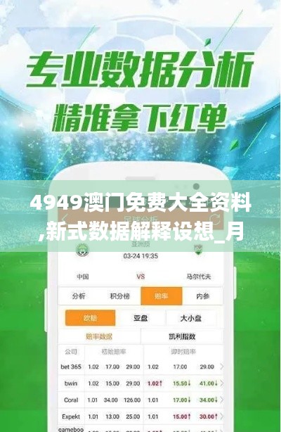 4949澳門免費大全資料,新式數(shù)據(jù)解釋設(shè)想_月光版VWM13.56
