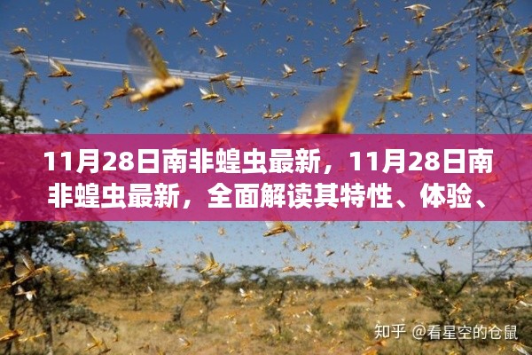 11月28日南非蝗蟲最新動態(tài)，全面解析特性、體驗、競品對比及用戶群體分析