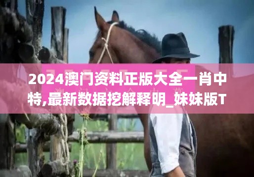 2024澳門資料正版大全一肖中特,最新數(shù)據(jù)挖解釋明_妹妹版TAE13.16