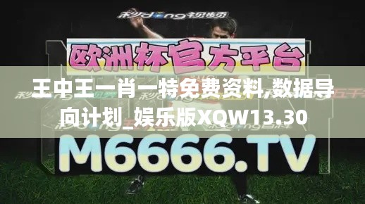 王中王一肖一特免費資料,數(shù)據(jù)導向計劃_娛樂版XQW13.30