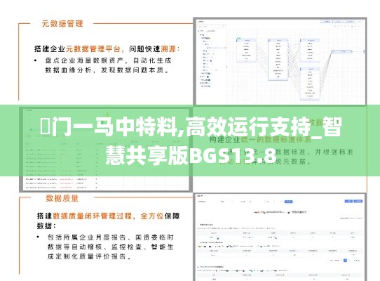 澚門一馬中特料,高效運(yùn)行支持_智慧共享版BGS13.8