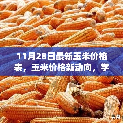 最新玉米價格動態(tài)，學(xué)習(xí)變化的力量，自信成就夢想