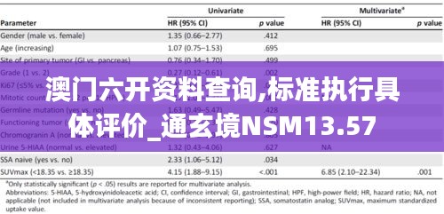 澳門六開資料查詢,標(biāo)準(zhǔn)執(zhí)行具體評價_通玄境NSM13.57