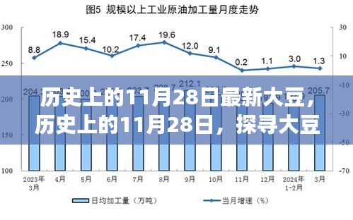 歷史上的11月28日，探尋大豆產(chǎn)業(yè)最新發(fā)展動(dòng)態(tài)與產(chǎn)業(yè)進(jìn)步歷程