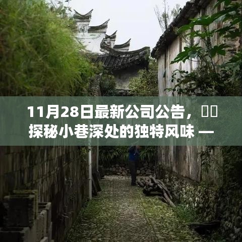 探秘小巷深處的獨(dú)特風(fēng)味，公司最新公告帶你走進(jìn)隱藏的美食寶藏店揭秘時(shí)刻