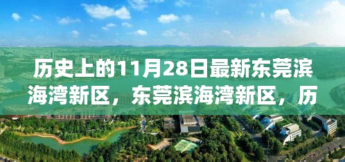 東莞濱海灣新區(qū)，歷史與未來的交匯點，探尋小巷獨特風味當日記實