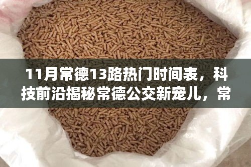 常德公交新寵兒揭秘，智能出行時代下的常德公交13路時刻表與智慧出行體驗