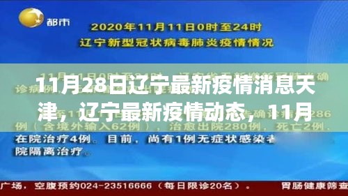 遼寧與天津抗疫進(jìn)展更新，11月28日最新疫情消息與動態(tài)