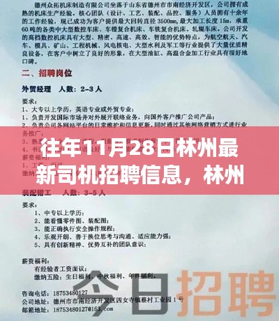 林州最新司機(jī)招聘動(dòng)態(tài)，行業(yè)趨勢(shì)深度解讀與多方觀點(diǎn)匯集