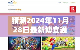 博宜通的奇妙時光，2024年11月28日的溫馨日常