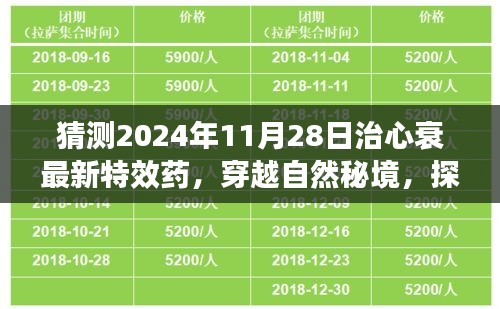 探尋未來奇跡，穿越自然秘境，揭秘心衰特效藥的心靈之旅（預(yù)計(jì)于2024年11月揭曉）