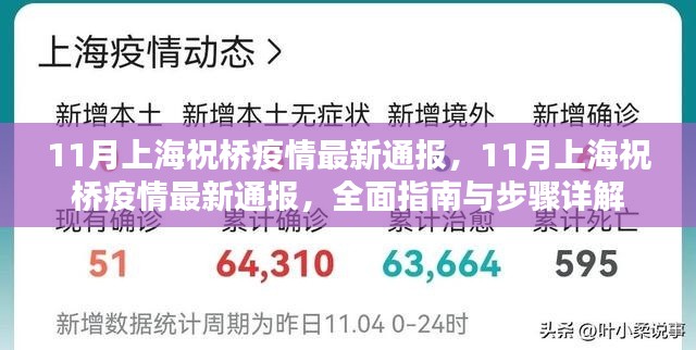 上海祝橋疫情最新通報，全面指南與詳細(xì)步驟解讀（11月版）