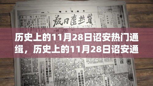 歷史上的11月28日詔安通緝事件深度解讀，事件背后的大揭秘
