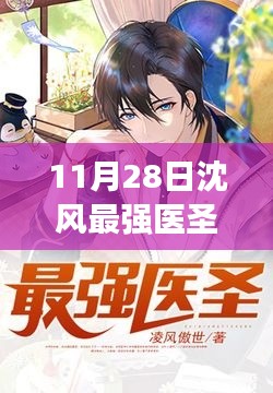 11月28日沈風(fēng)最強(qiáng)醫(yī)圣最新評測與介紹