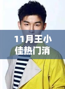 王小佳十一月熱門消息揭秘，多維解讀背后的故事