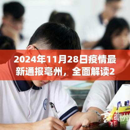 2024年11月28日亳州疫情最新通報(bào)全面解讀，特性、體驗(yàn)、競(jìng)品對(duì)比及用戶分析