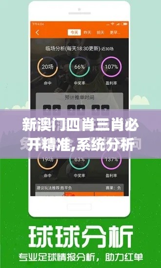 新澳門(mén)四肖三肖必開(kāi)精準(zhǔn),系統(tǒng)分析方案設(shè)計(jì)_美學(xué)版BZZ53.591